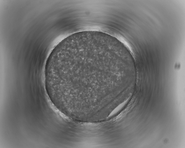 X0000093751088200711131119