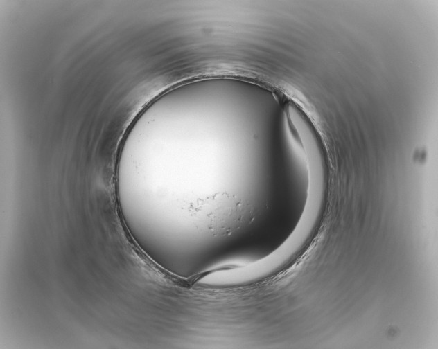 X0000093751089200711131119