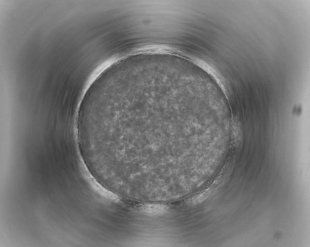 X0000093751090200711131119