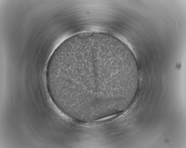 X0000093751091200711131119