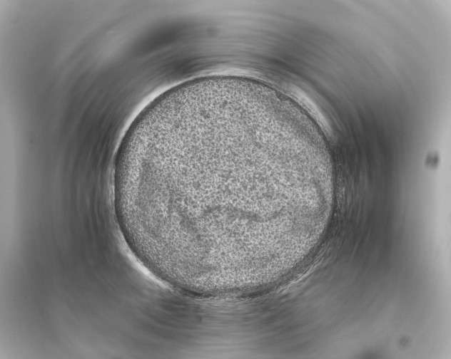 X0000093751092200711131119