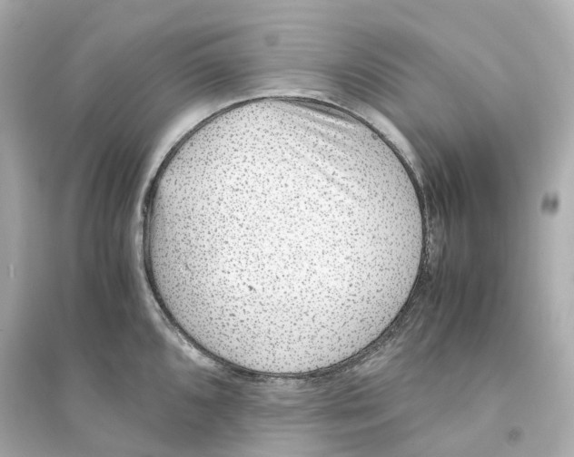 X0000093751096200711131119