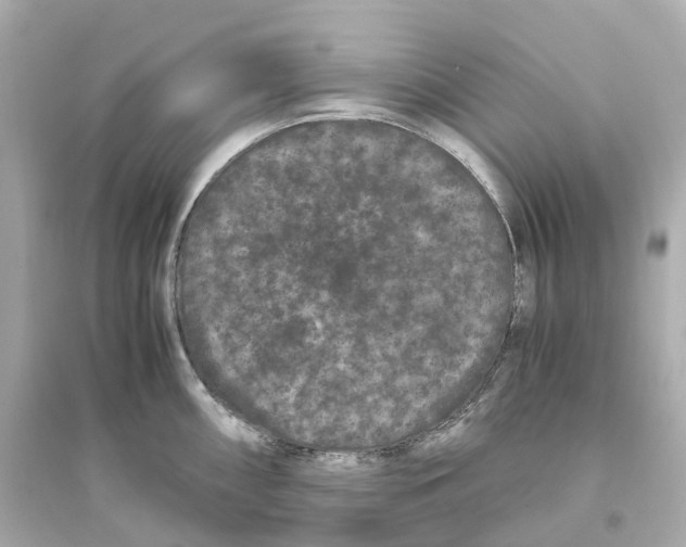 X0000093751098200711131119