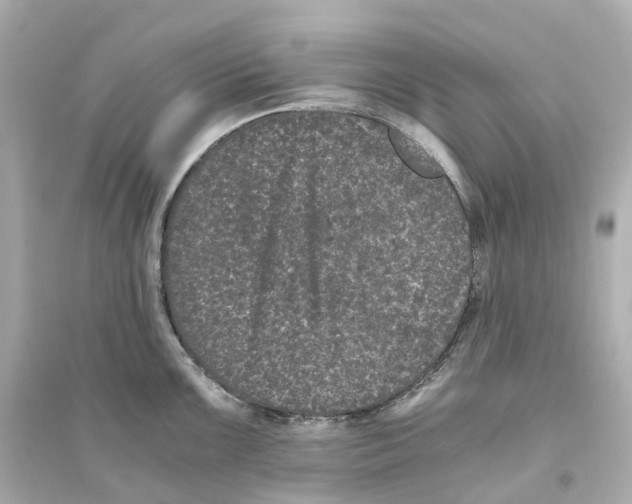 X0000093751099200711131119