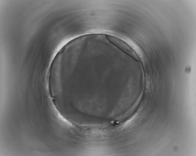 X0000093751102200711131119