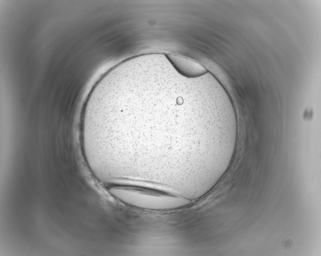 X0000093751104200711131119