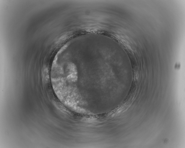 X0000093751106200711131118