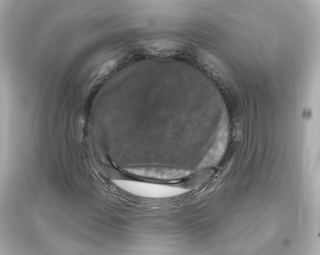 X0000093751108200711131118