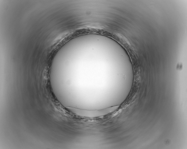 X0000093751110200711131118