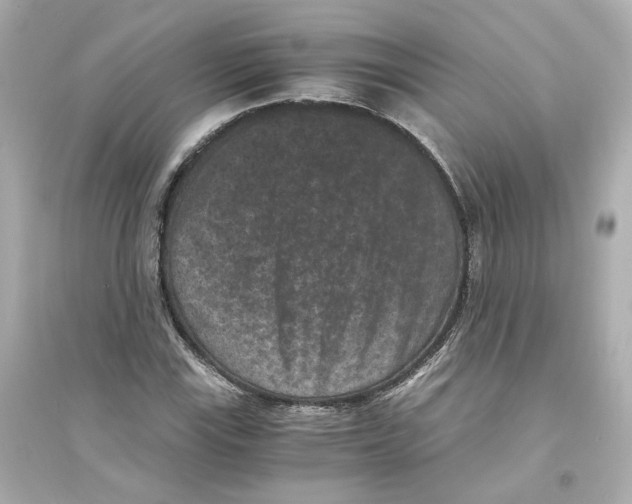 X0000093751115200711131119