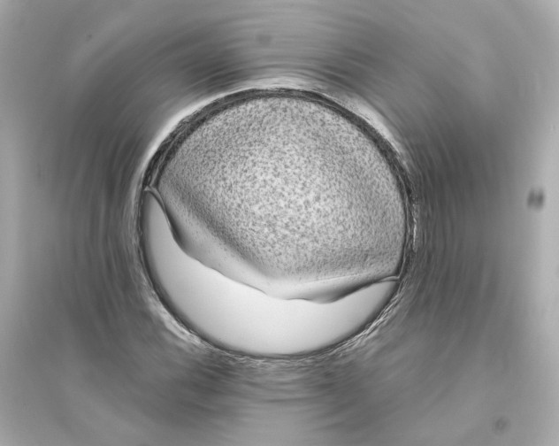 X0000093751116200711131119