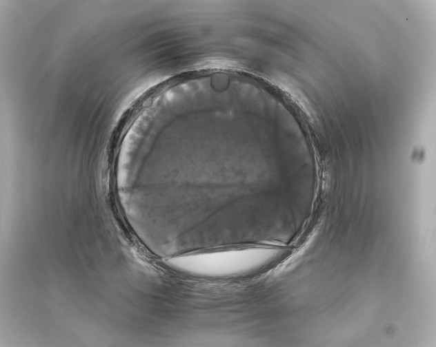 X0000093751117200711131119