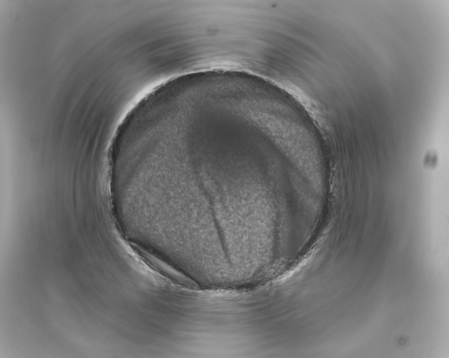 X0000093751118200711131119