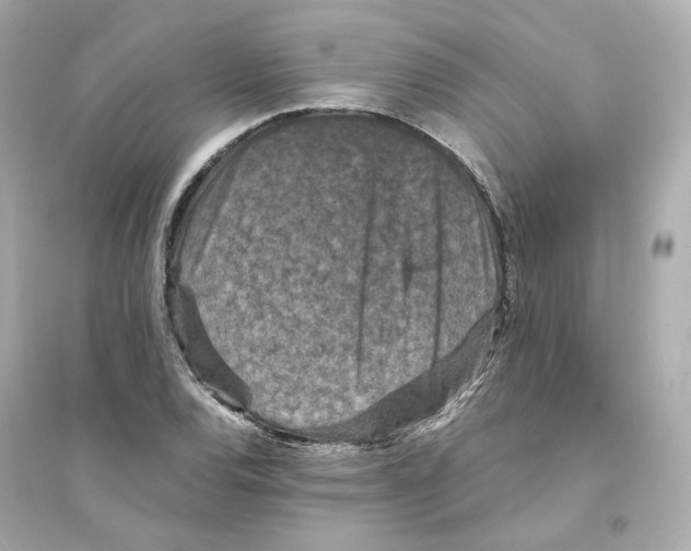 X0000093751120200711131119