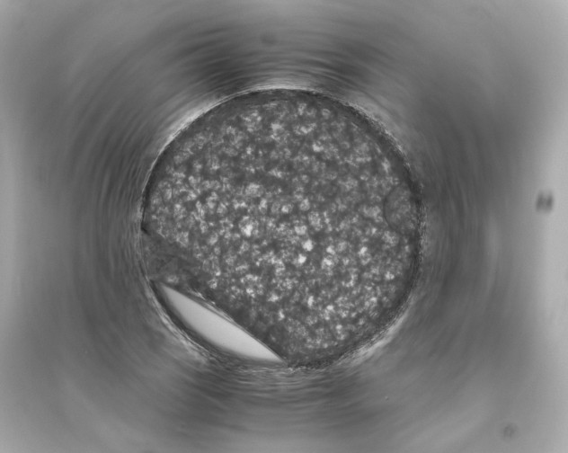 X0000093751121200711131119