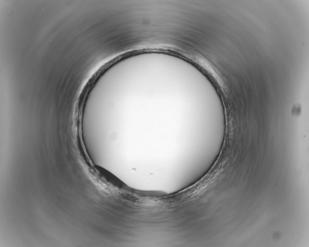 X0000093751124200711131119