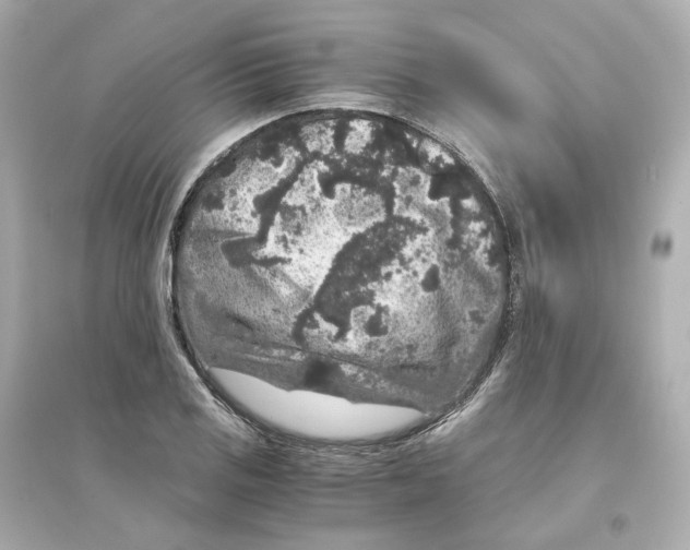 X0000093751125200711131119