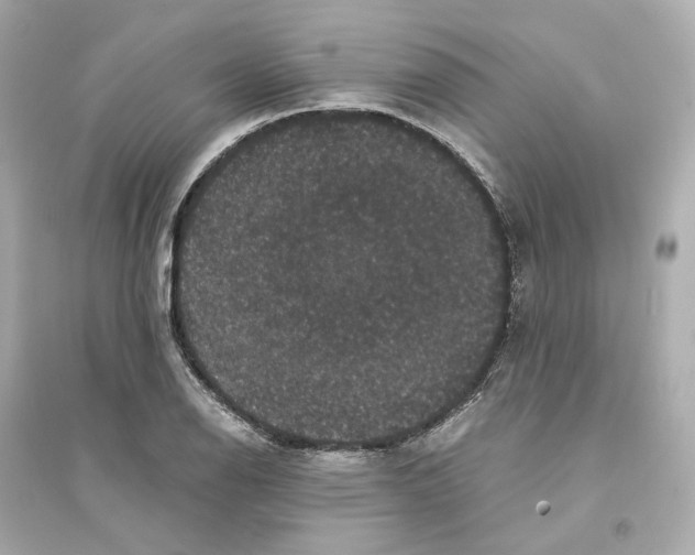 X0000093751126200711131119