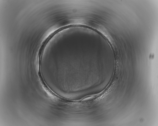 X0000093751127200711131119