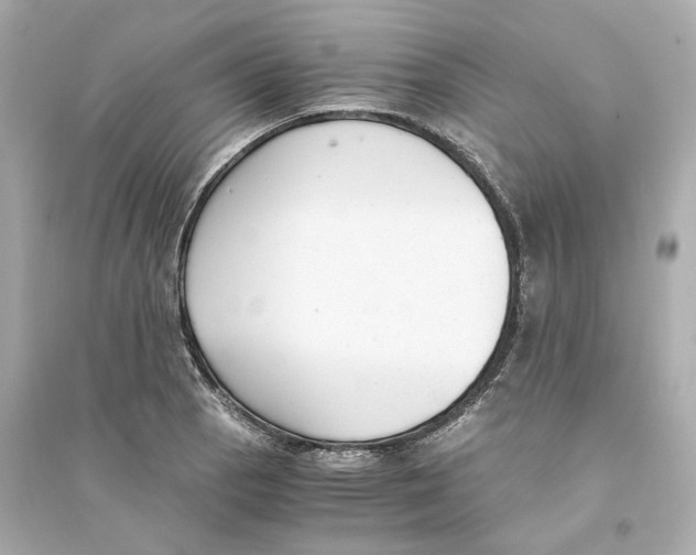 X0000093751129200711131119