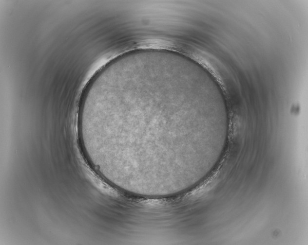 X0000093751130200711131119