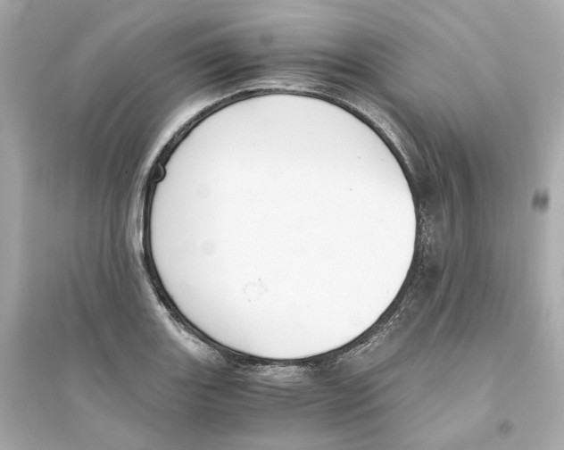 X0000093751131200711131119