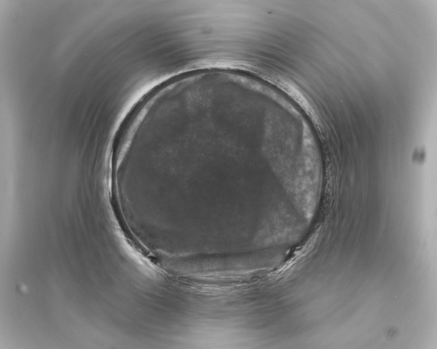 X0000093751132200711131119