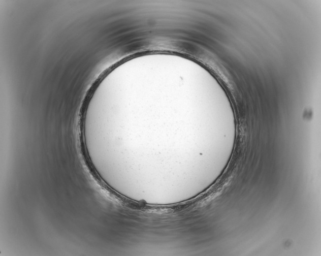 X0000093751133200711131119