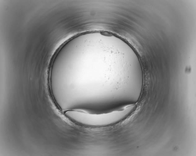 X0000093751134200711131119