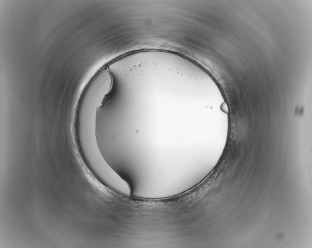 X0000093751136200711131119