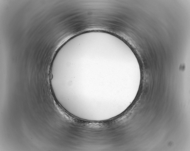 X0000093751137200711131119