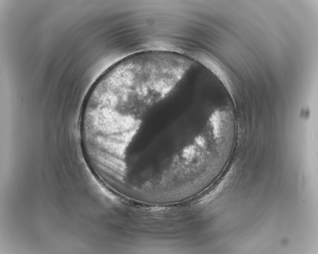 X0000093751141200711131119