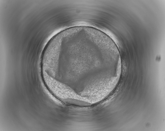 X0000093751142200711131119