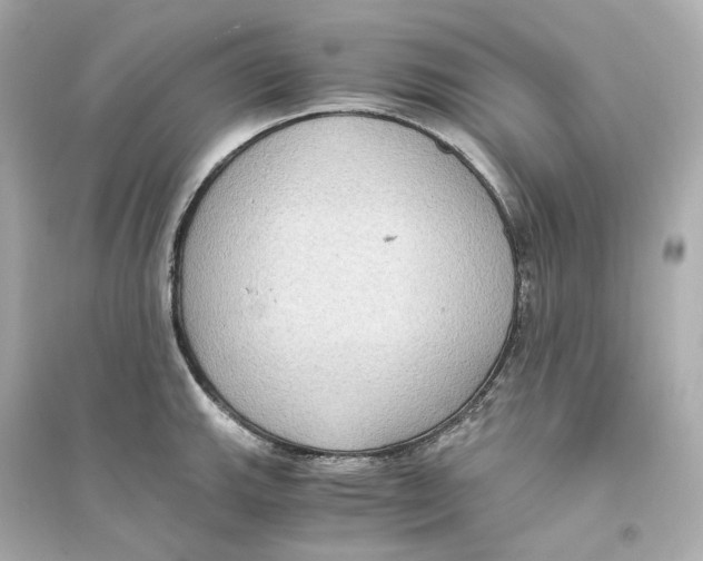 X0000093751143200711131119