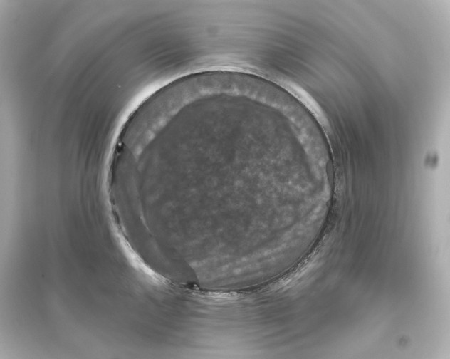 X0000093751144200711131119