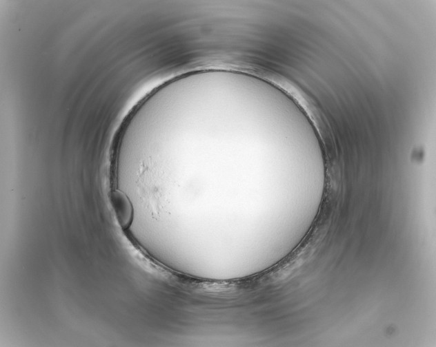 X0000093751147200711131119