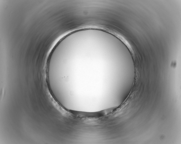 X0000093751148200711131119