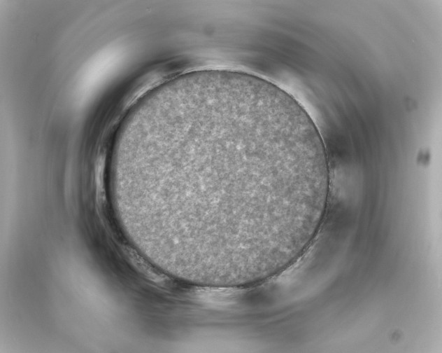 X0000093751150200711131119