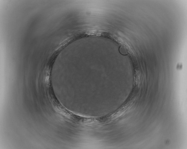 X0000093751154200711131118