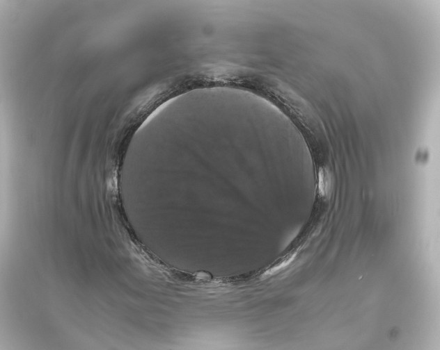 X0000093751155200711131118