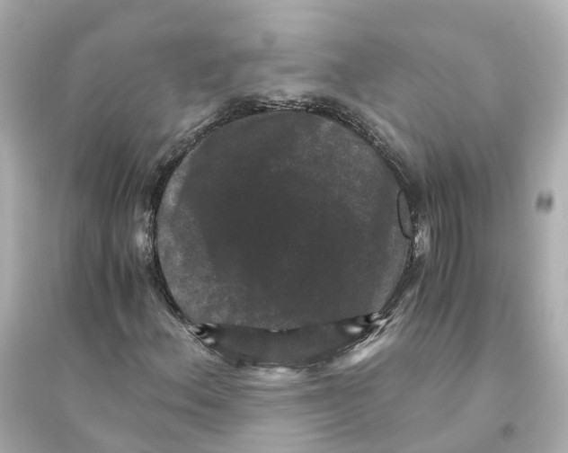 X0000093751156200711131118