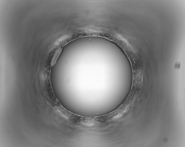 X0000093751157200711131118