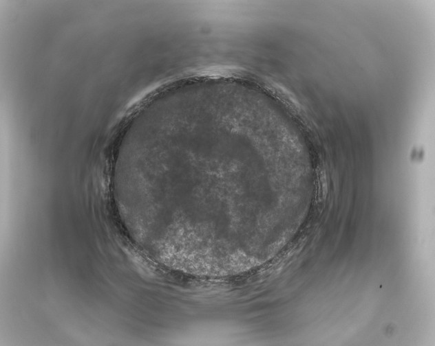 X0000093751158200711131118