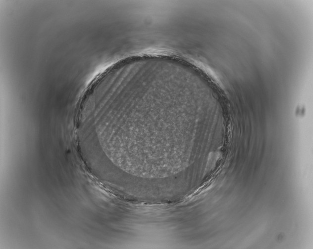 X0000093751160200711131118