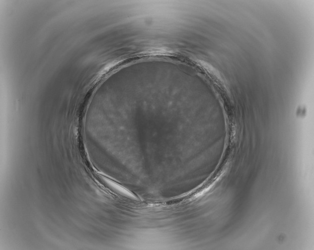 X0000093751161200711131118