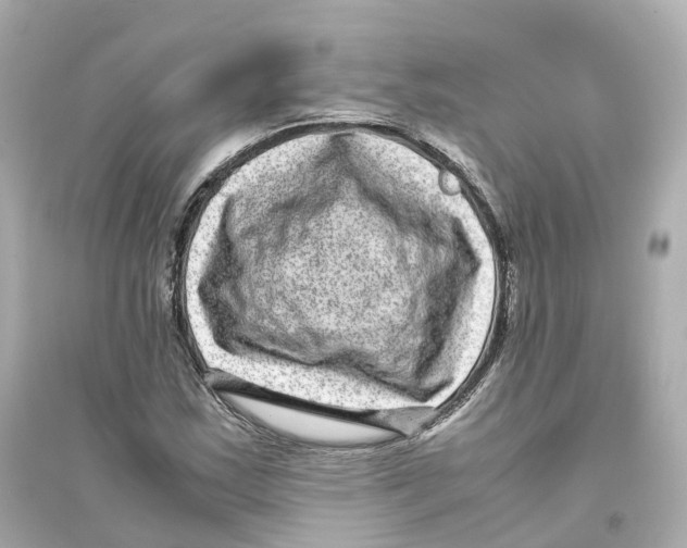 X0000093751163200711131118