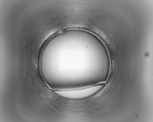 X0000093751165200711131118