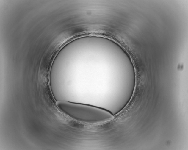 X0000093751169200711131118