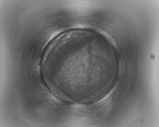 X0000093751170200711131118