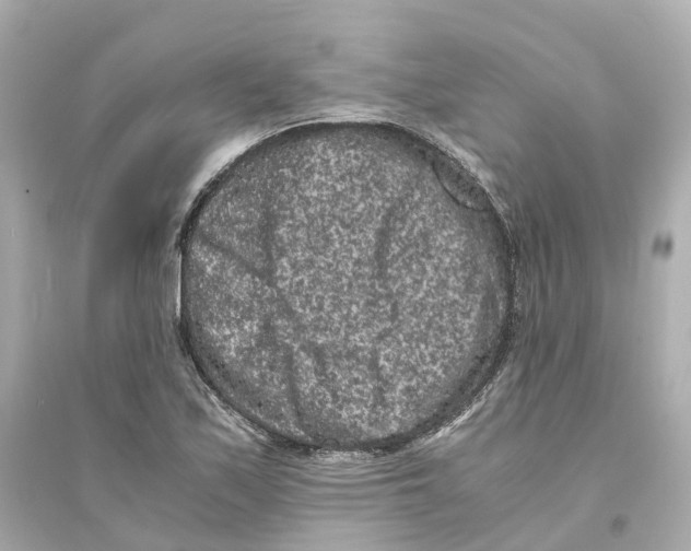 X0000093751171200711131118